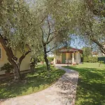 Ferienhaus Colli By Interhome *